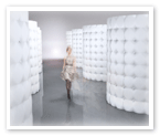 Enclosure-010
